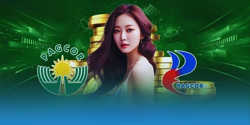 Điều Khoản Và Điều Kiện fanvip 2 Các điểm chính trong điều khoản và điều kiện fanvip