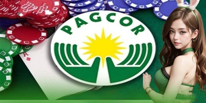Điều Khoản Và Điều Kiện fanvip 3 Nắm bắt rõ ràng các điều khoản của sân chơi và quyền lợi của hội viên